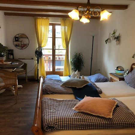 Ferienwohnung Sonne 슐링겐 외부 사진